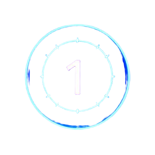 1 HORA